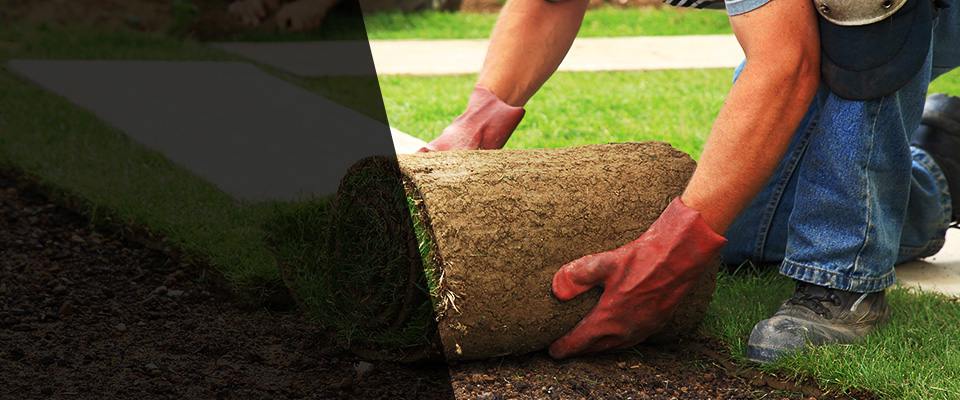 Shepherdstown Landscapers